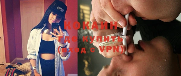 амф Верхний Тагил