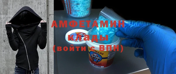 амф Верхний Тагил