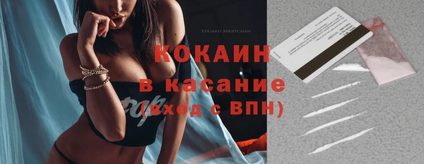 амф Верхний Тагил