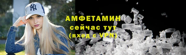 амф Верхний Тагил