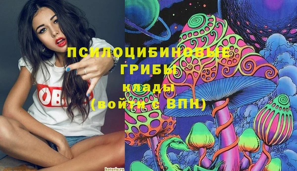 амф Верхний Тагил