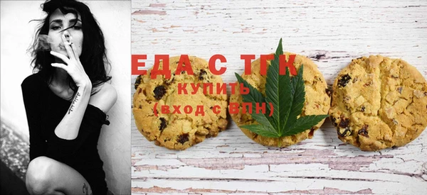 амф Верхний Тагил