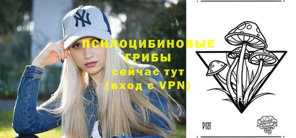 амф Верхний Тагил