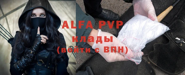 амф Верхний Тагил