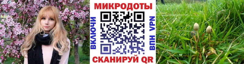 хочу   Улан-Удэ  Галлюциногенные грибы Psilocybine cubensis 